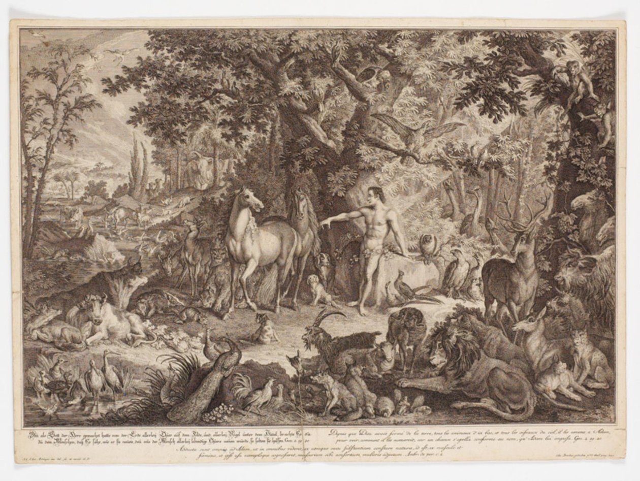 Adam benennt die Tiere von Johann Elias Ridinger