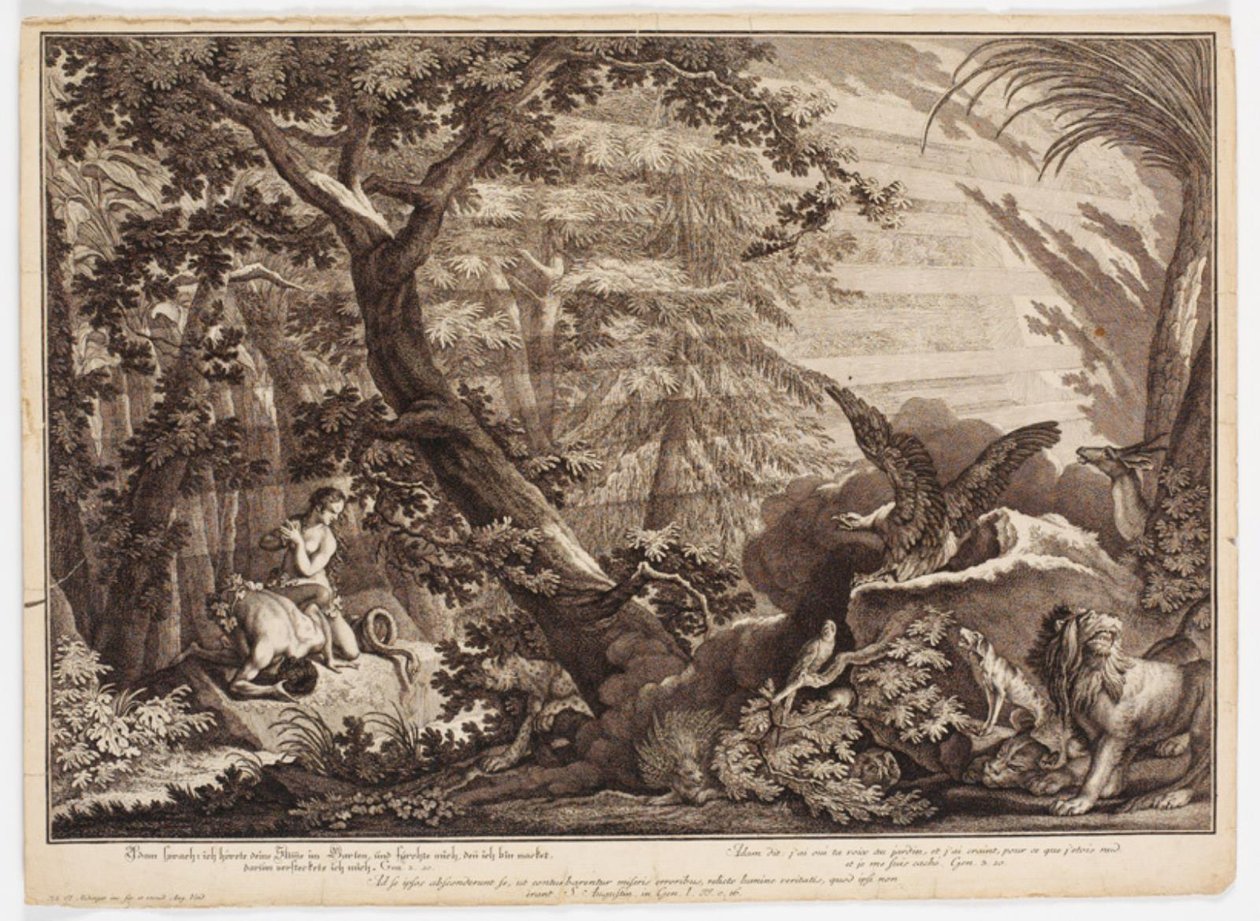 Adam und Eva entdecken, dass sie nackt sind von Johann Elias Ridinger