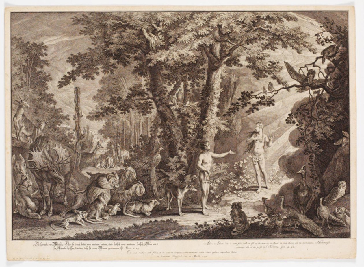 Adams erstes Treffen mit Eva von Johann Elias Ridinger