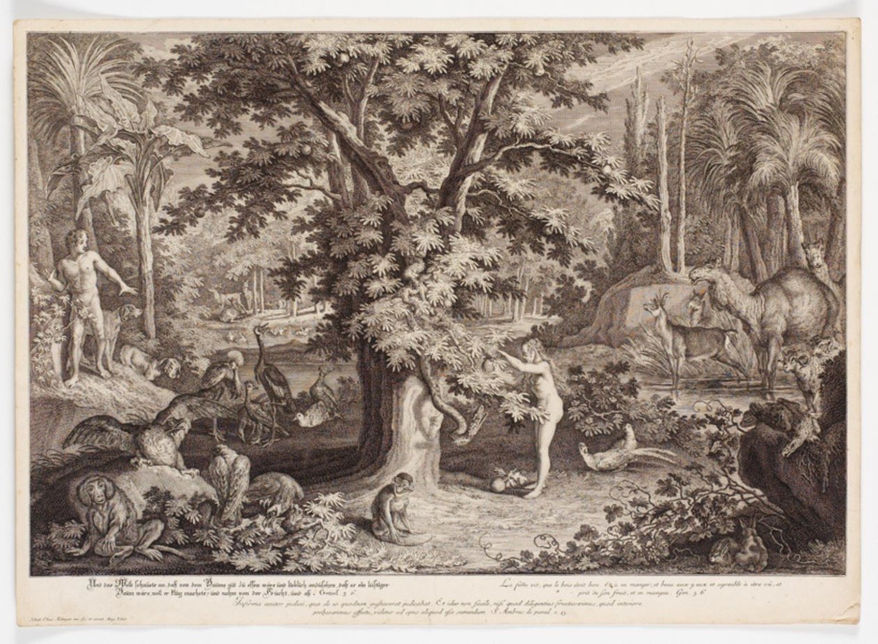 Eva pflückt den Apfel vom Baum der Erkenntnis von Johann Elias Ridinger