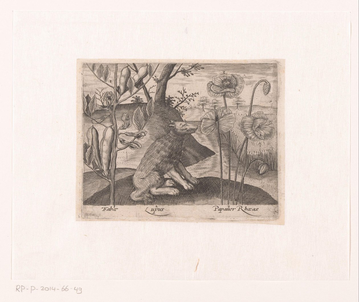 Serie von Drucken mit Blumen und Tieren in einer Landschaft von Johann Hogenberg