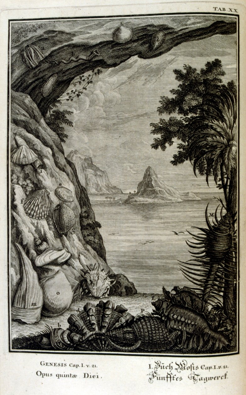 Kupferstich aus 
