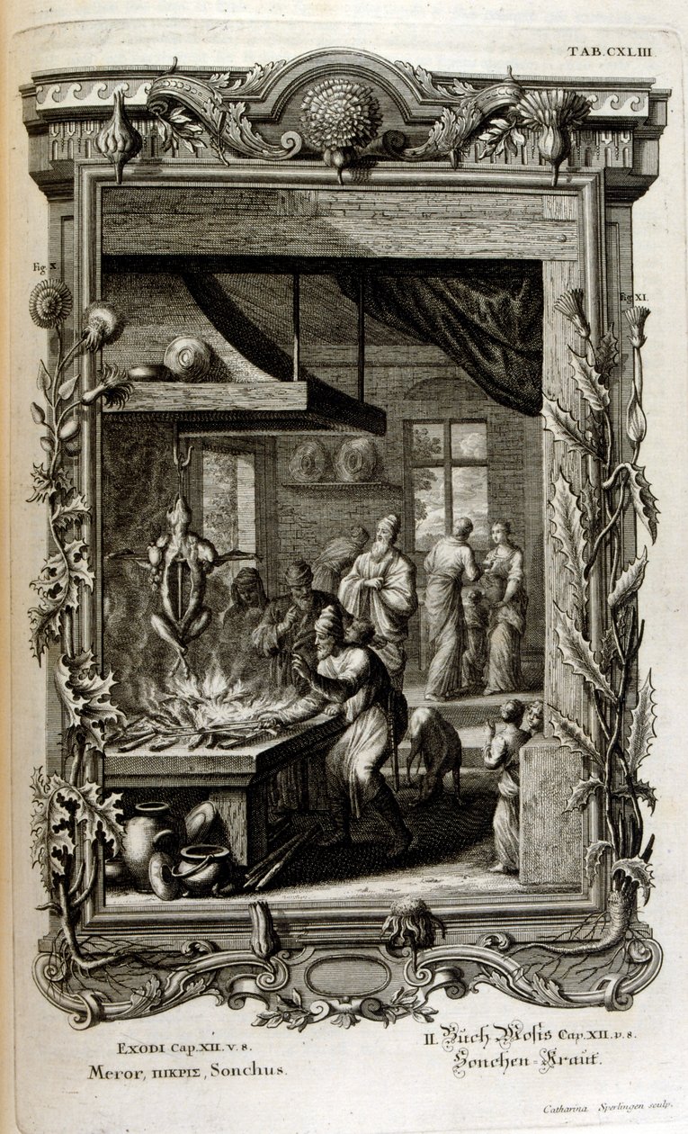 Illustration aus Physique sacrée, ou Histoire-naturelle de la Bible von Johann Jakob Scheuchzer