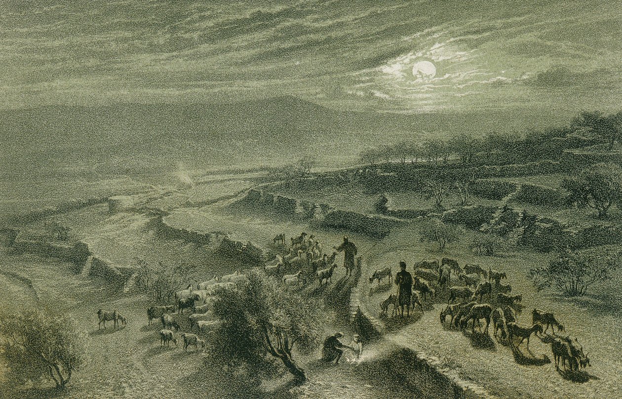 Das Tal der Hirten in Bethlehem. Radierung von Bernatz et alii - Steinkopk J.F. Editore von Johann Martin Bernatz