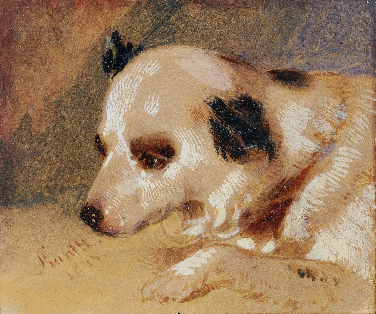 Kopf eines Hundes von Johann Matthias Ranftl