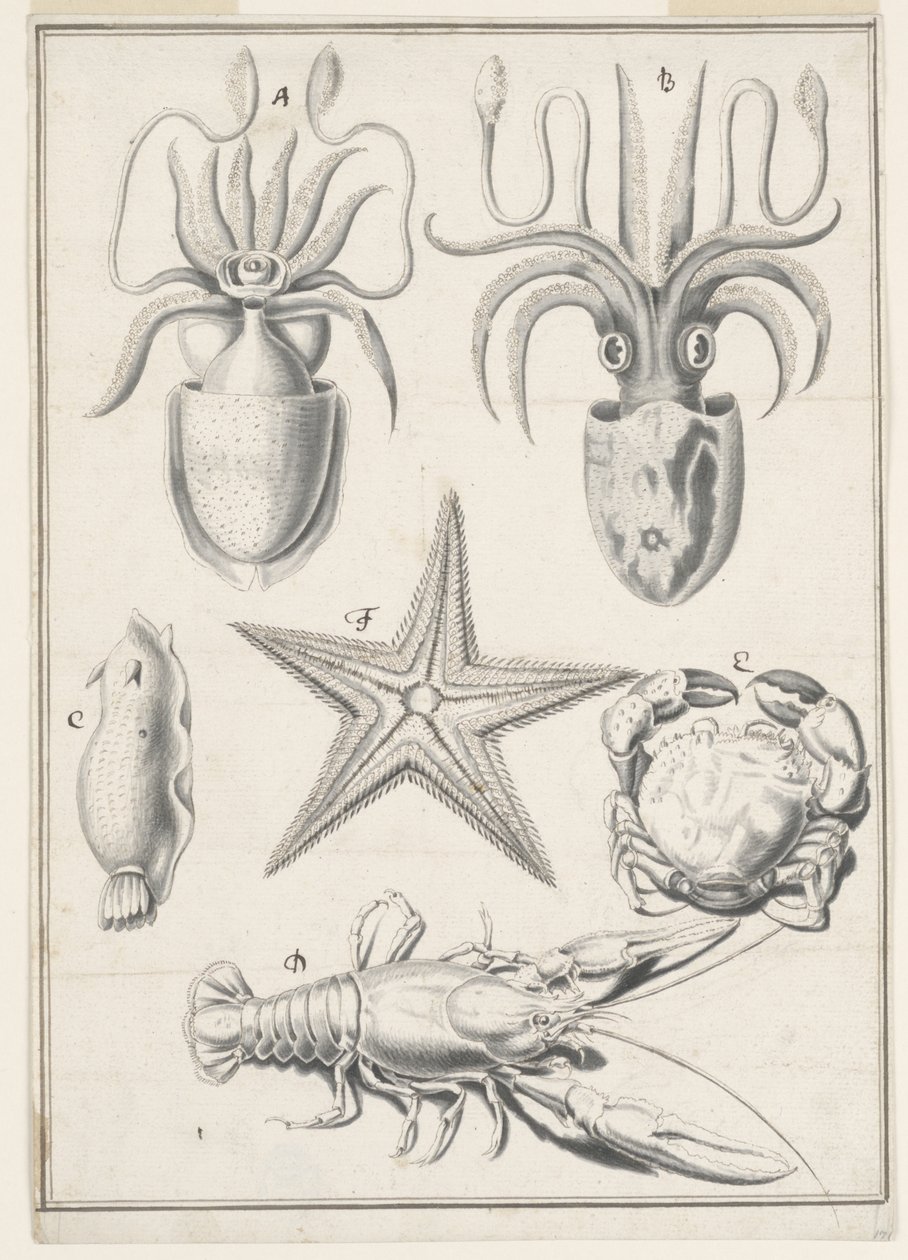 Fünfter Arbeitstag von Johann Melchior Füssli
