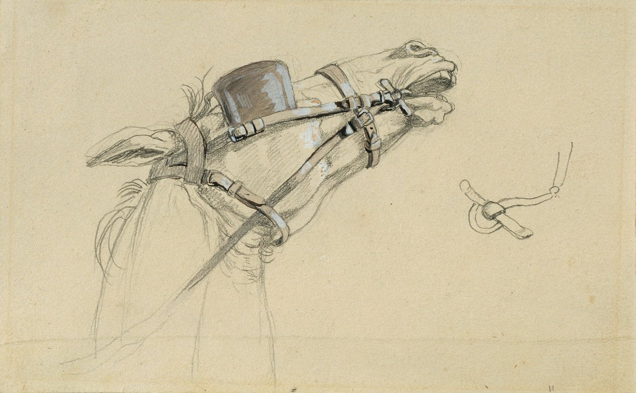 Studie eines Pferdekopfes zu "Rückkehr des Kaisers Franz aus Pressburg" von Johann Peter Krafft