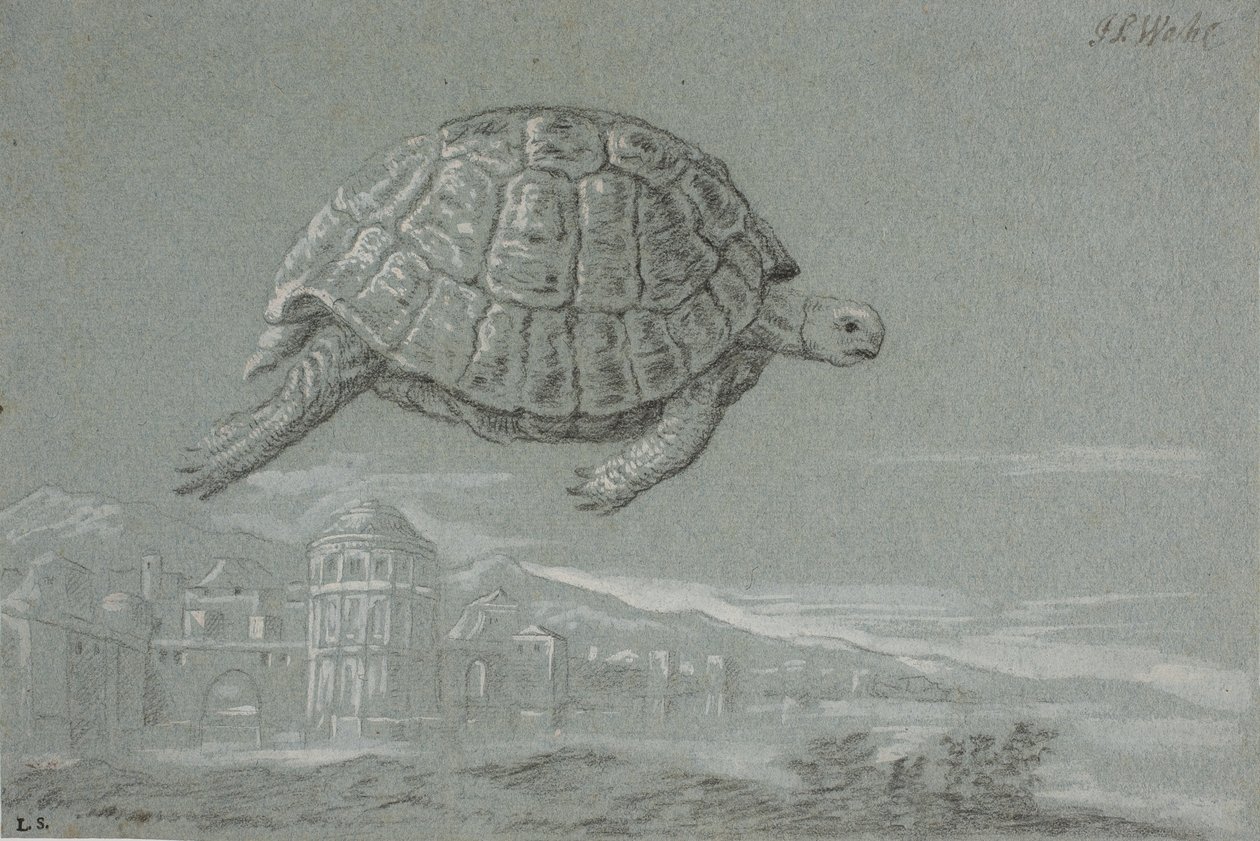 Studie einer Schildkröte und Aussicht auf eine befestigte Stadt am Meer (Venedig) von Johann Salomon Wahl