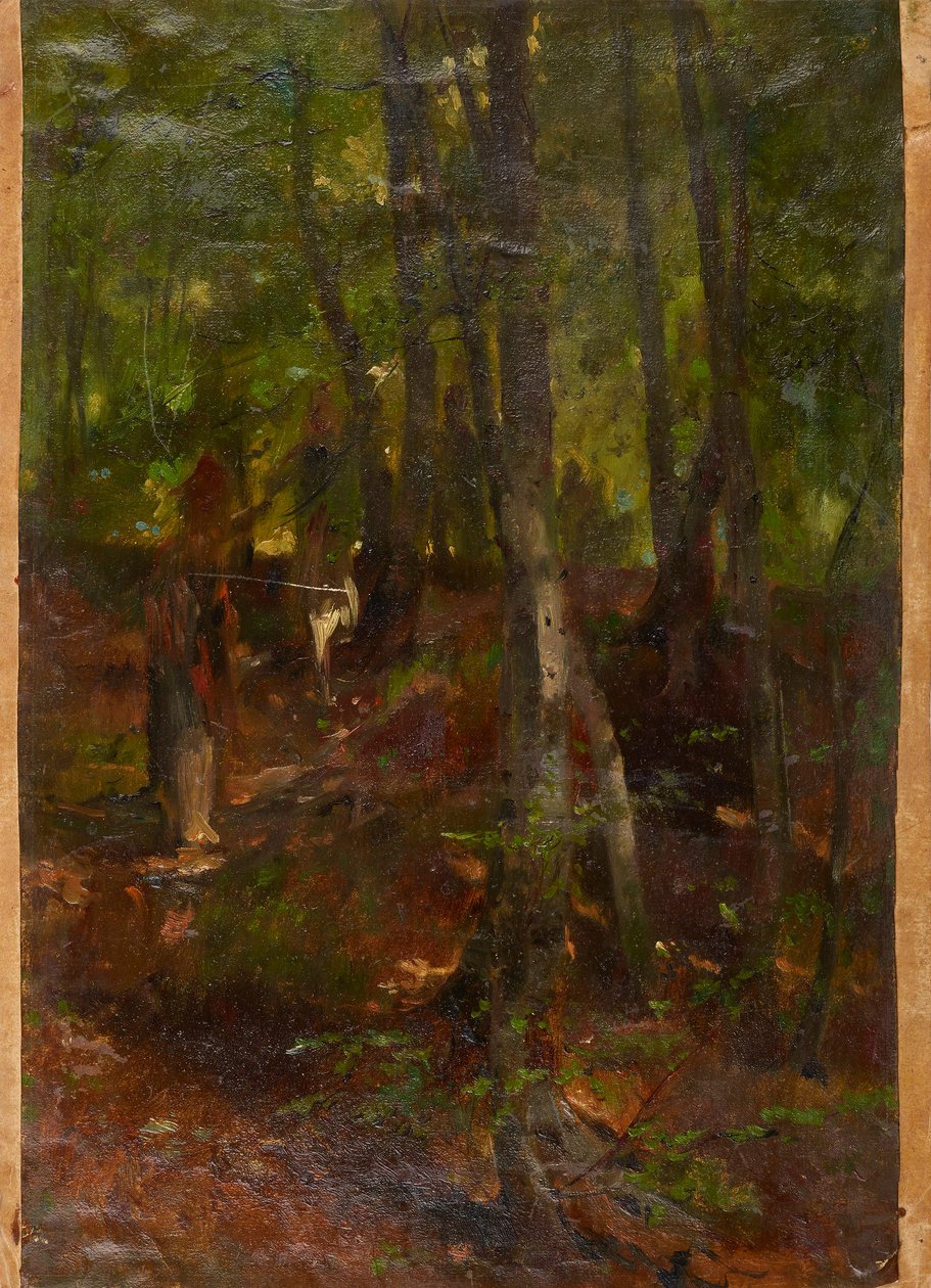 Waldlandschaft von Johann  Till der Jüngere
