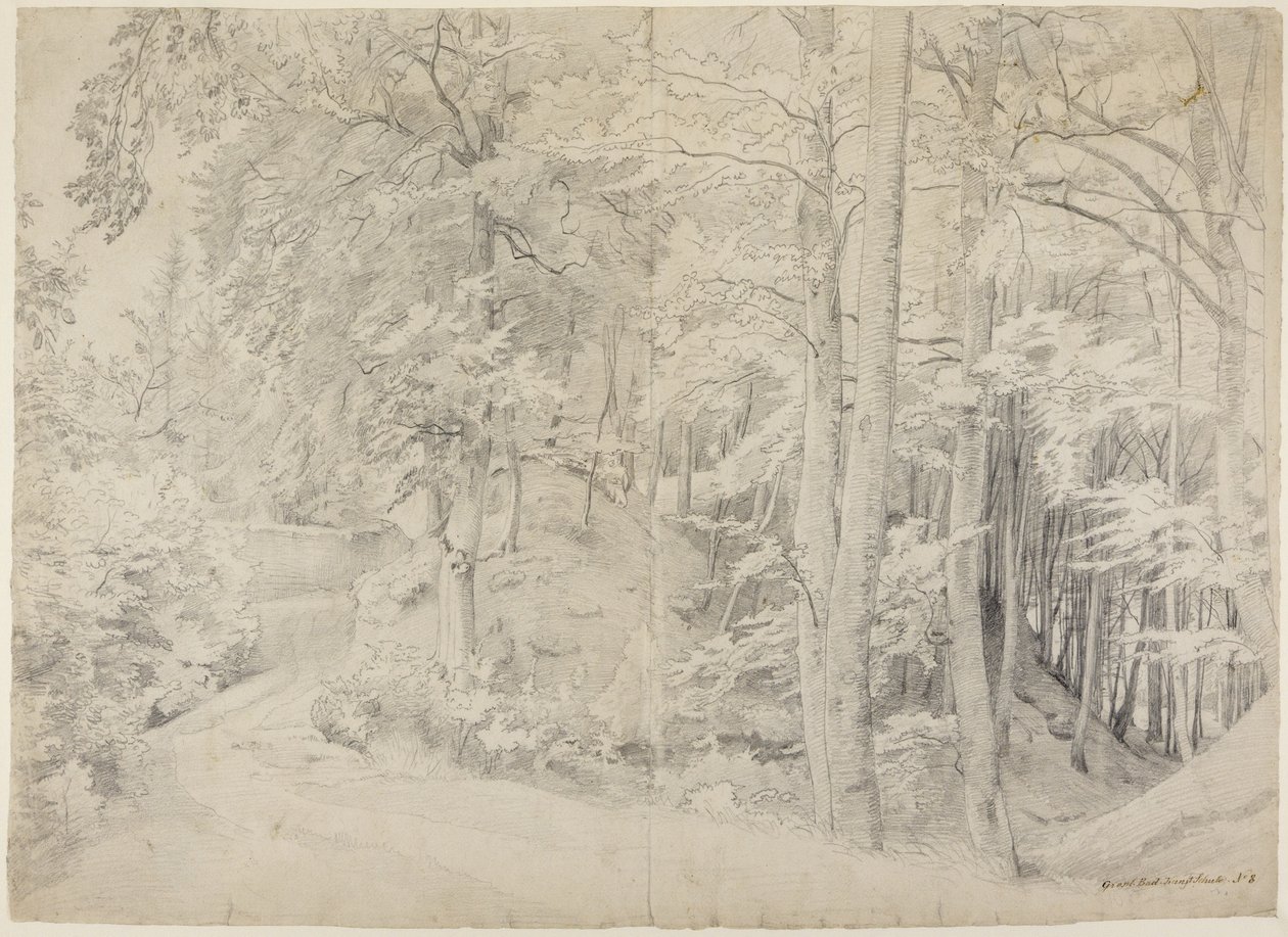 Im Buchenwald von Johann Wilhelm Schirmer