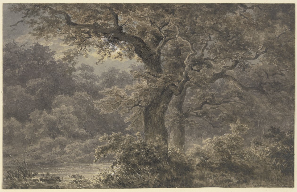 Eichen im Wald von Johann Wilhelm Schirmer