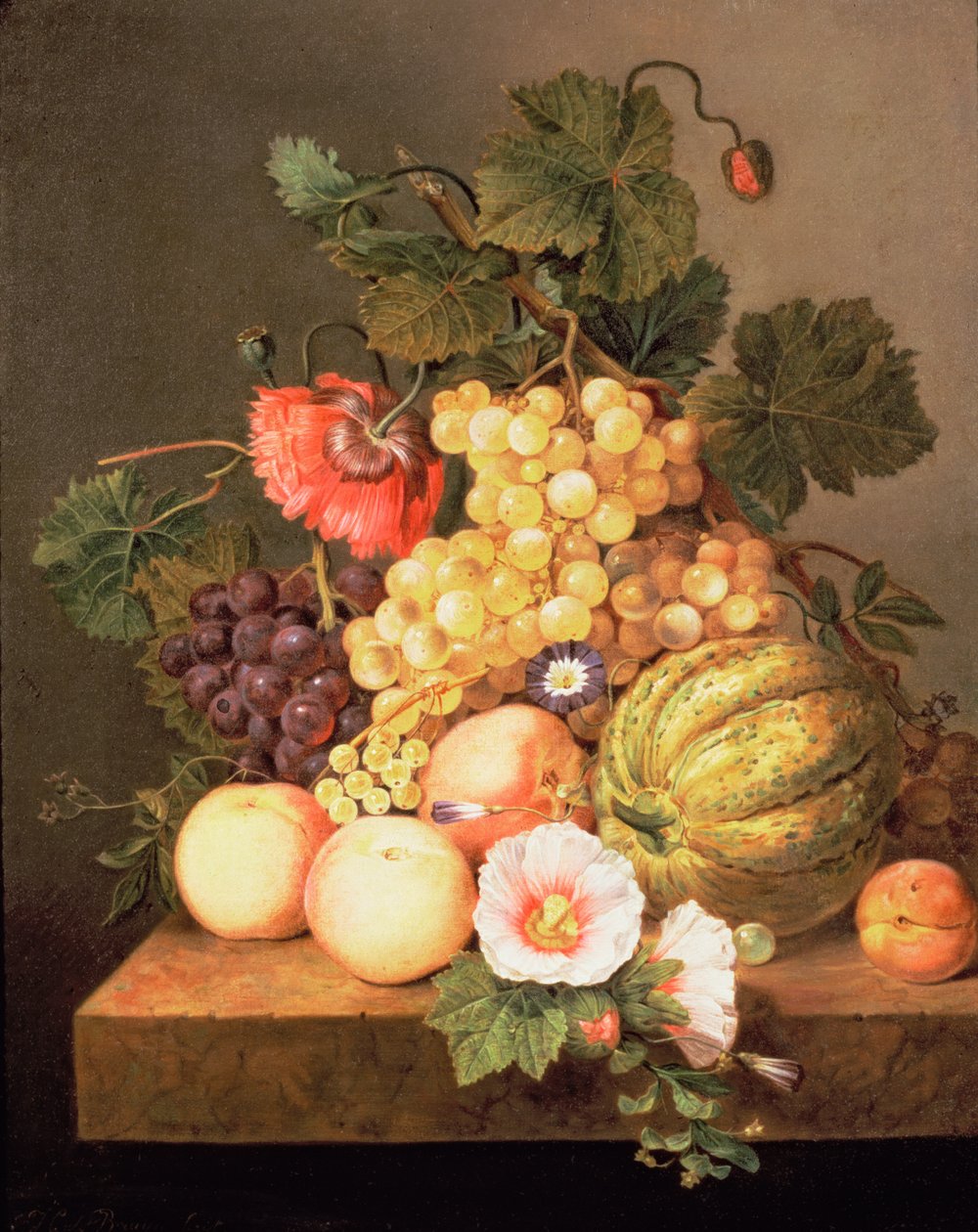 Stillleben mit Früchten von Johannes Cornelis Bruyn