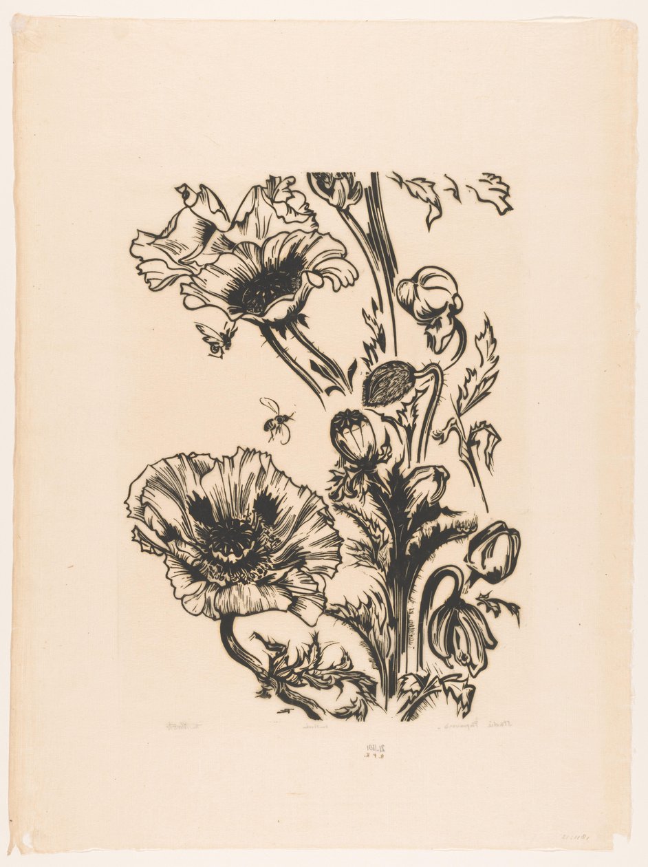 Studie Papaver von Johannes Frederik Engelbert ten Klooster (signed by artist)