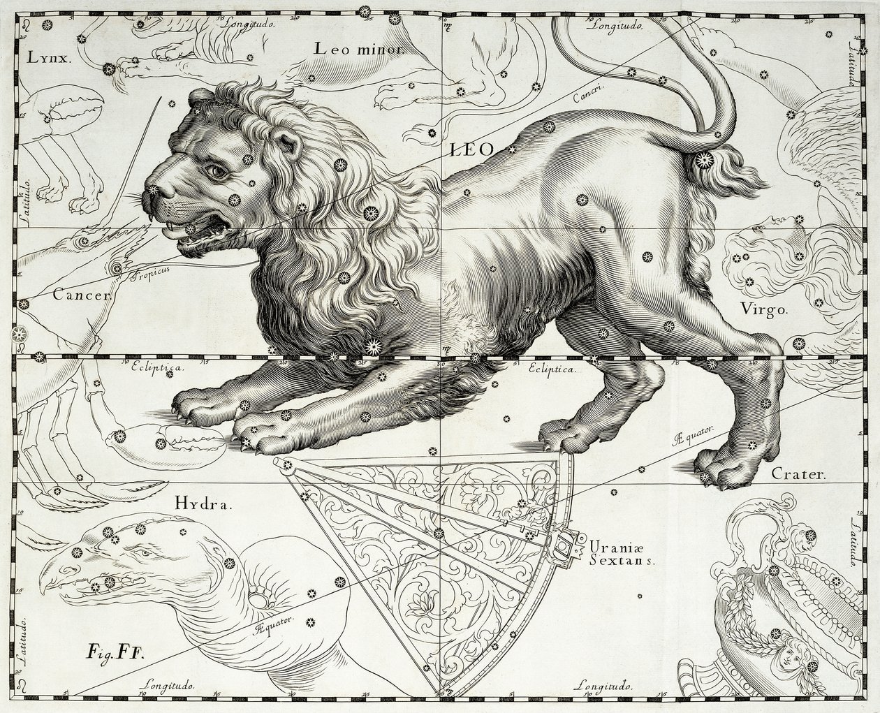 Löwe, Tierkreiszeichen des Löwen, Illustration aus Johann Hevelius