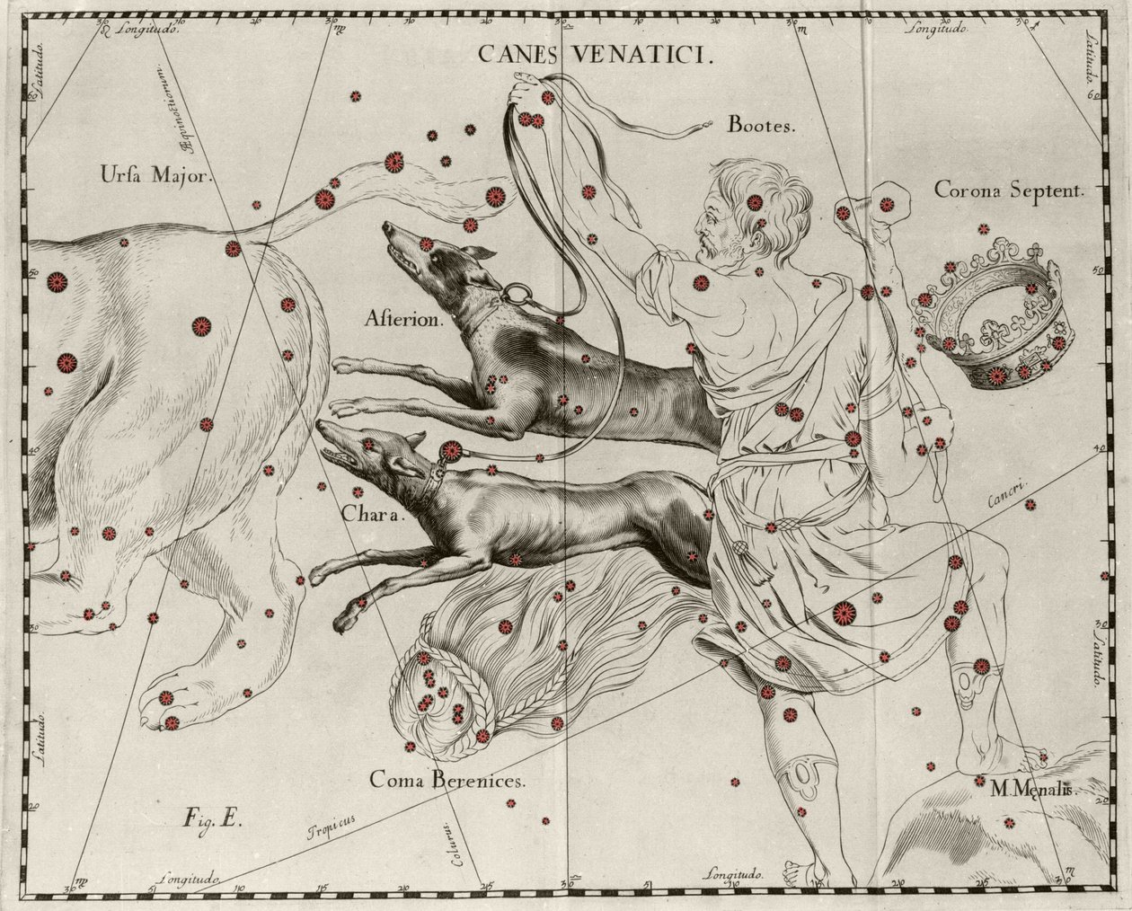 Die Konstellation Canes Venatici, Jagdhunde. Tafel aus „Firmamentum Sobiescanum sive Uranographia“ von Johannes Hevelius oder Hevel (1611-1687) von Johannes Hevelius