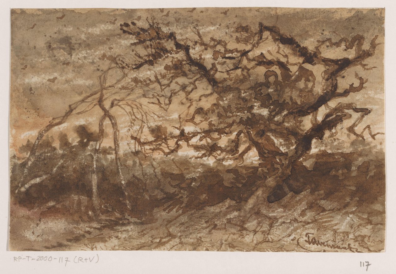 Baum bei Sonnenuntergang von Johannes Tavenraat (signed by artist)