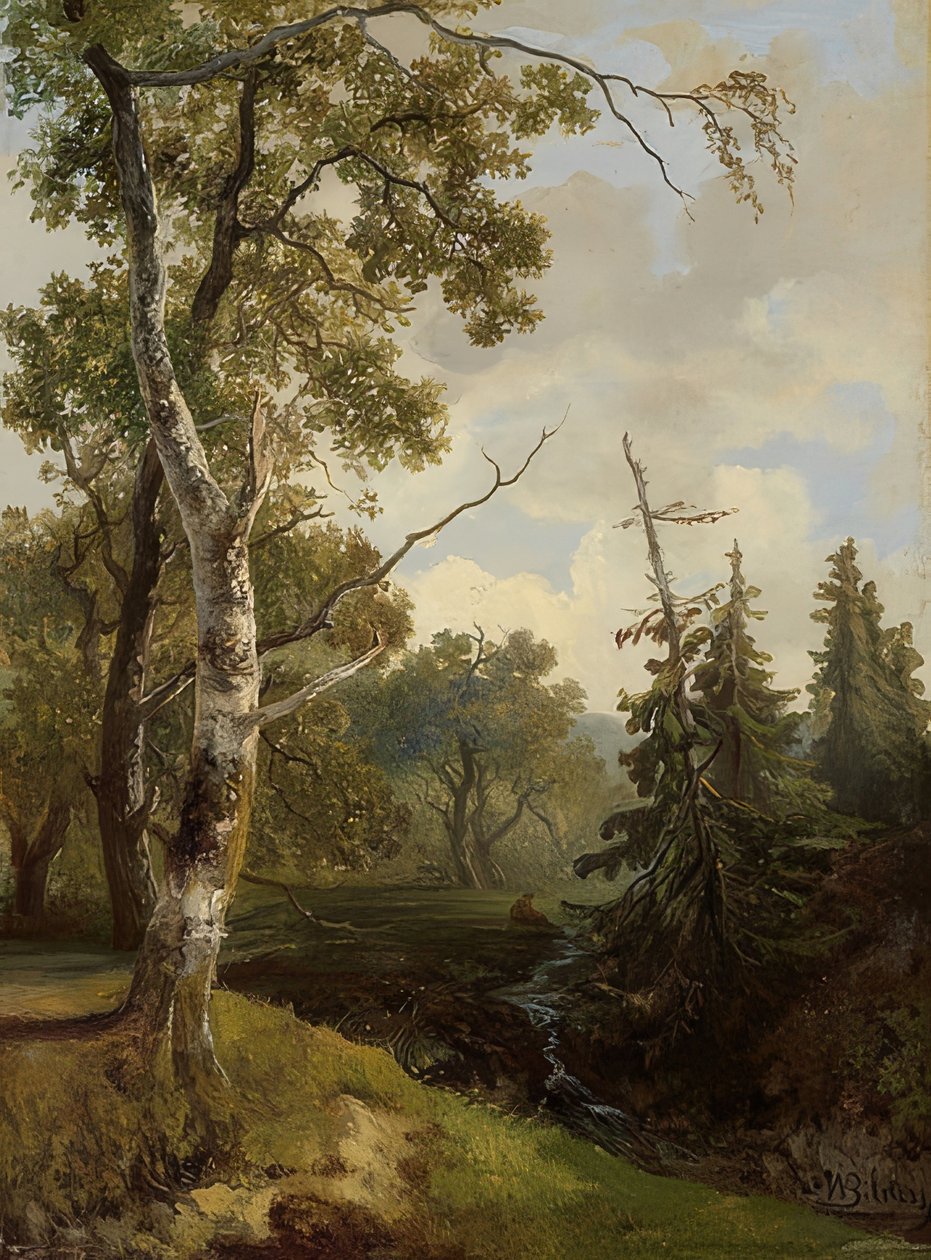 Waldstück bei Wolfheze (Bosgezicht bij Wolfheze) von Johannes Warnardus Bilders