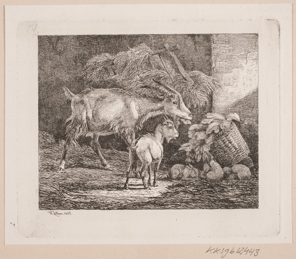 Eine Ziege, ein Zicklein und Kaninchen in einem Stall von Johannes Wilhelm Zillen