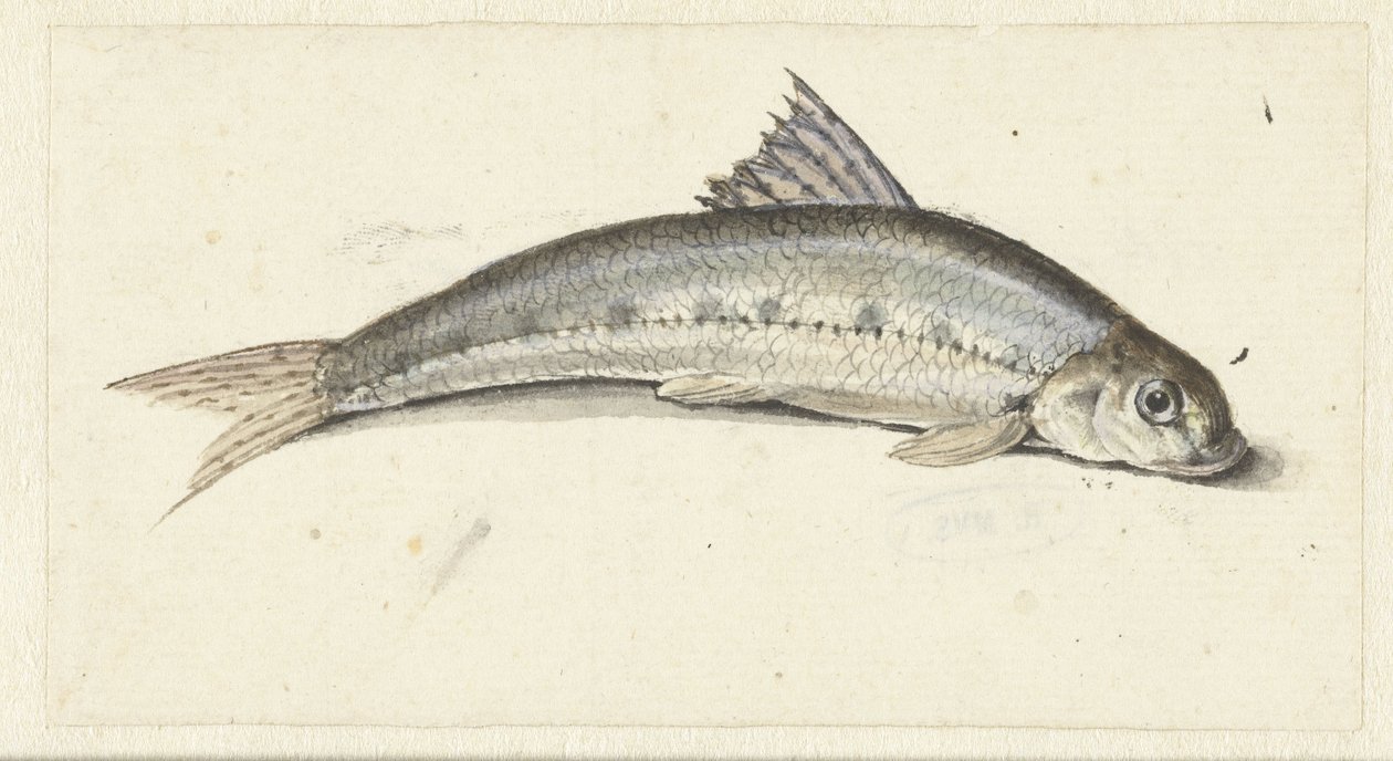 Gondel von Johannes le Francq van Berkhey