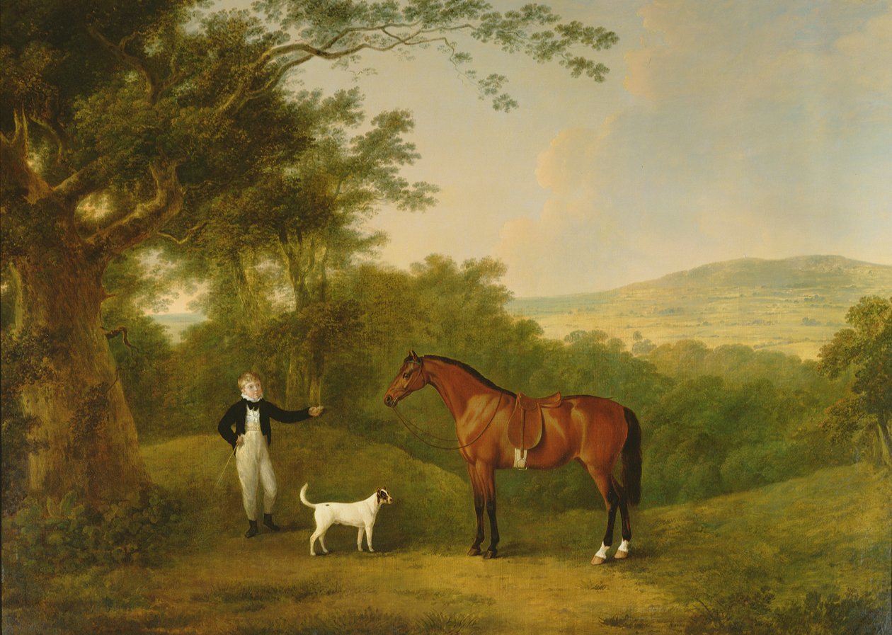 Porträt eines Jungen, eines Terriers und eines Kastanienponys von John Boultbee