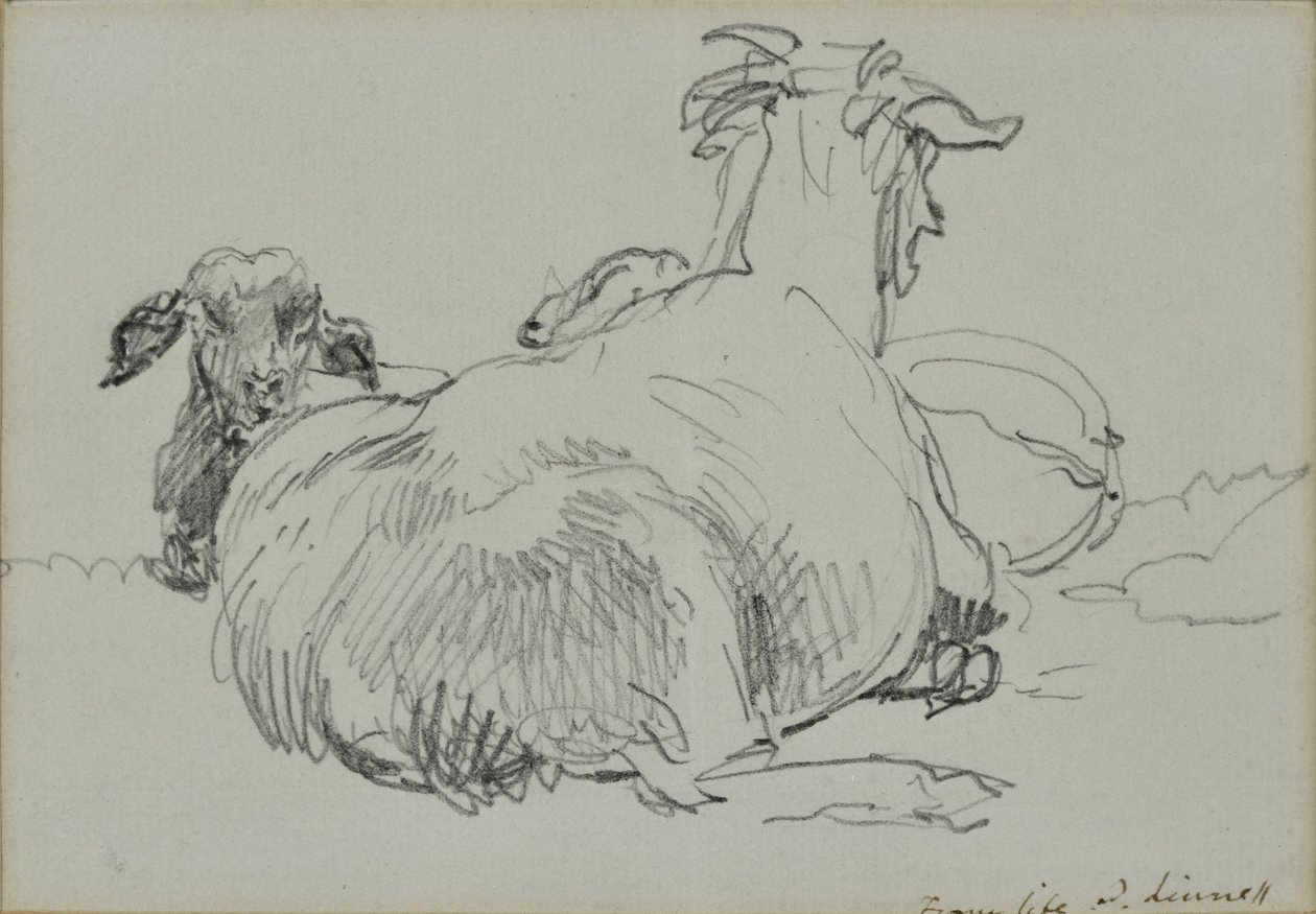 Zwei Schafe von John Linnell