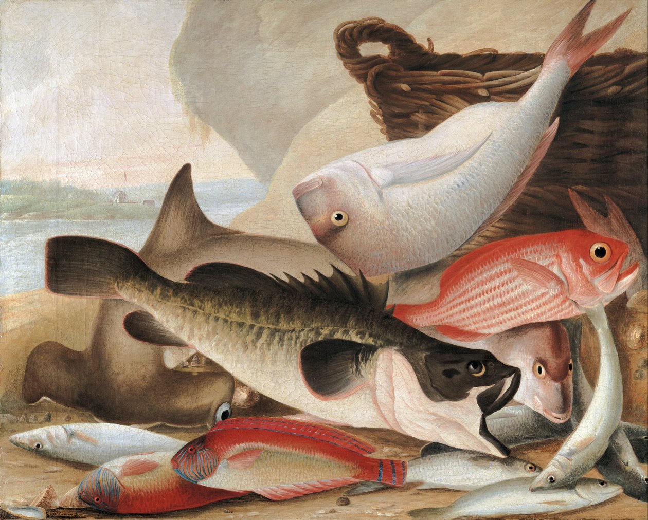 Fischfang und Dawes Point, Sydney Harbour von John William Lewin