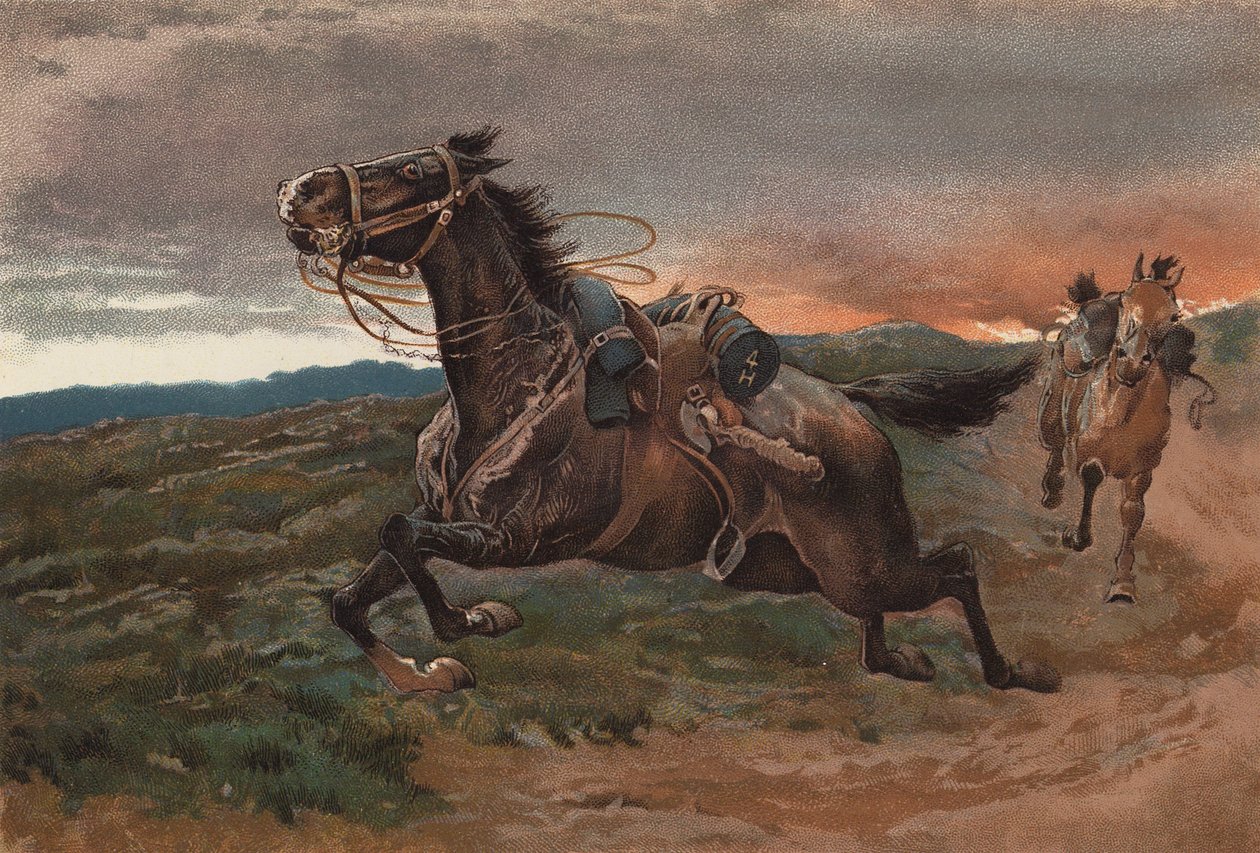 In Panik von John (after) Charlton