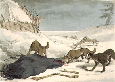 Die Wolfsjagd, Tafel 74 aus Band III von 