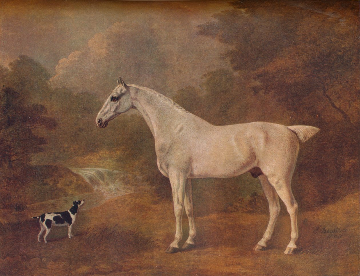 Ein flohgebissener Grauer und ein gefleckter Terrier, 1803 von John Boultbee