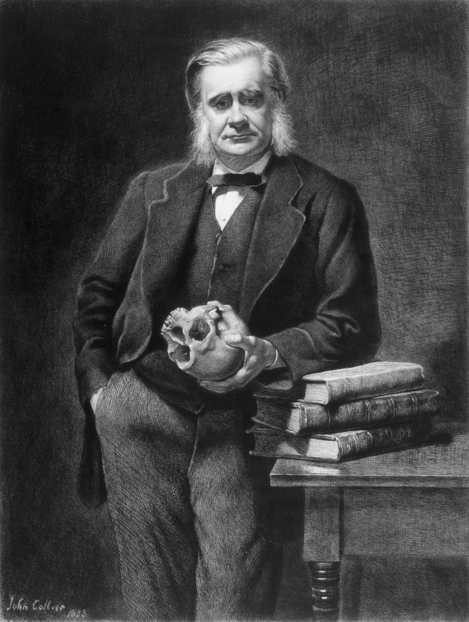 Thomas Henry Huxley (1825-95) geätzt von Leopold Flameng (1831-1911) 1885 von John Collier