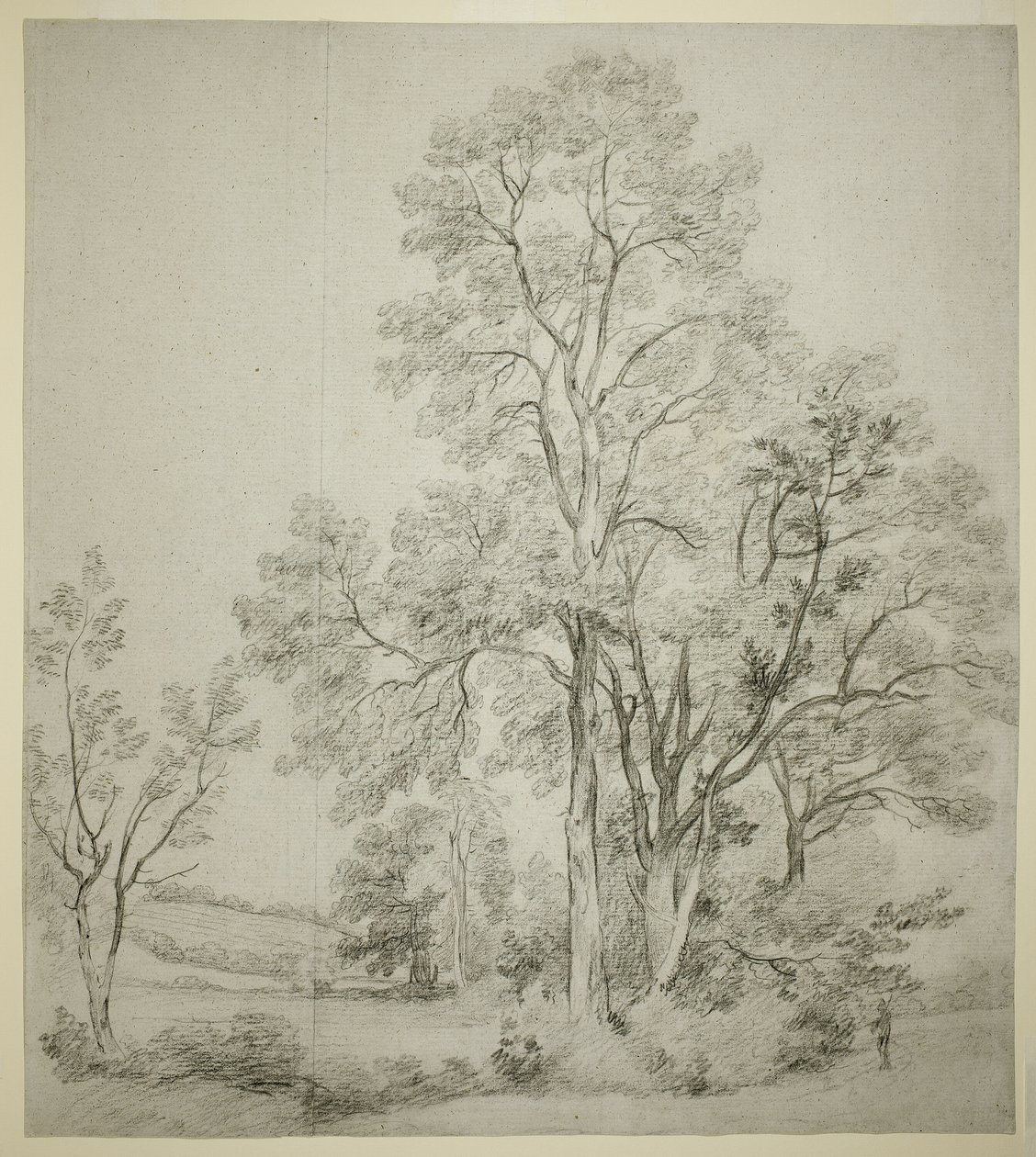 Eine Gruppe von Ulmen (recto); Eine Studie von East Bergholt mit der Kirche (verso) von John Constable