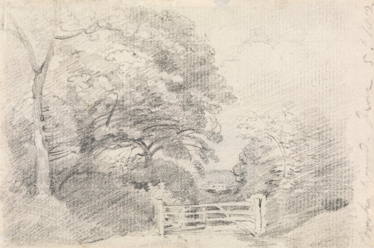 Coombe Wood von John Constable