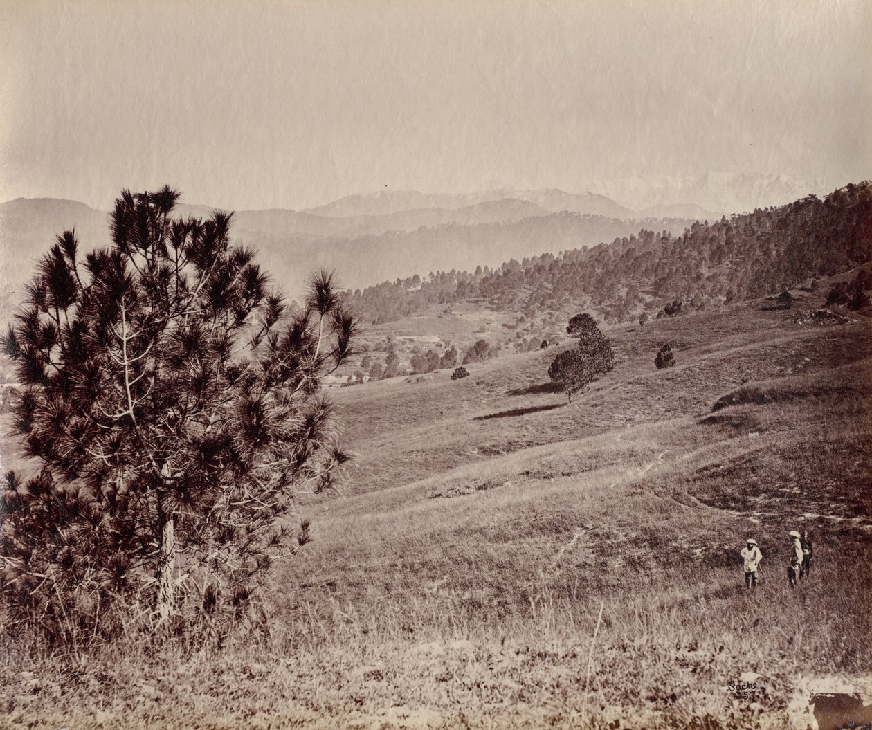 Landschaft mit Baum und drei Männern, Indien von John Edward Saché
