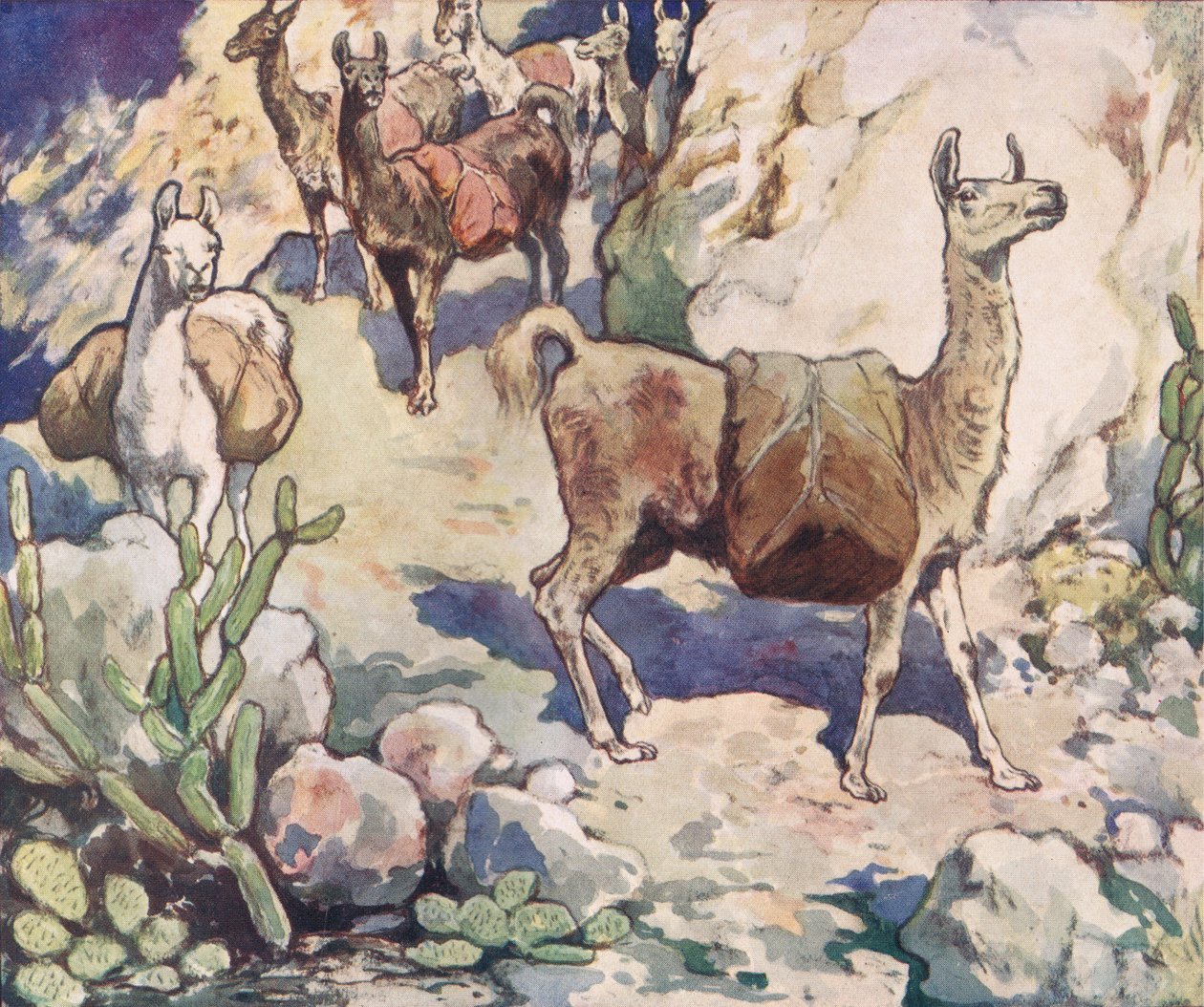 Alpakas auf einem Bergpfad, Illustration aus 