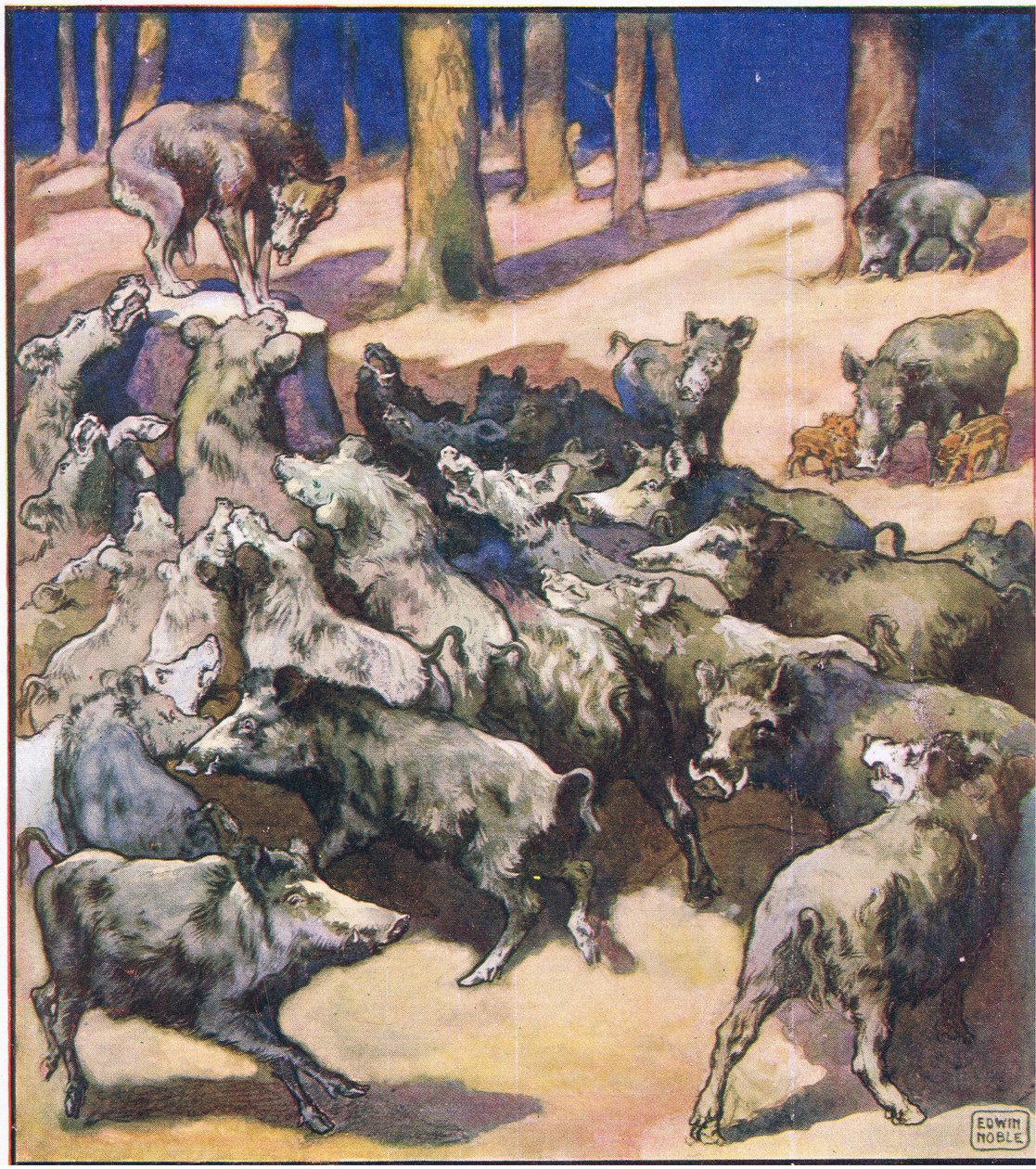 In der Mitte des Baumstumpfes stand ein großer grauer Wolf von John Edwin Noble