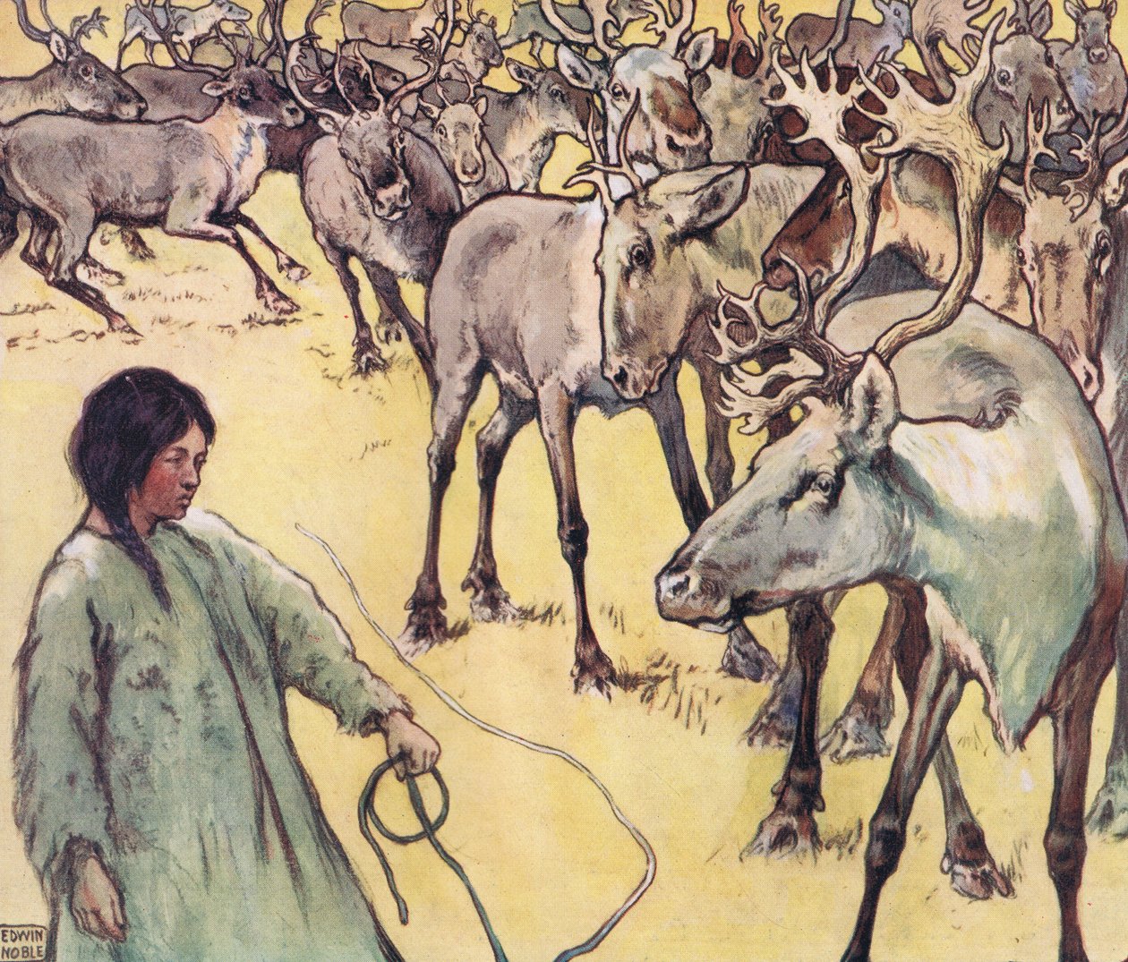 Elchherde, Illustration aus 