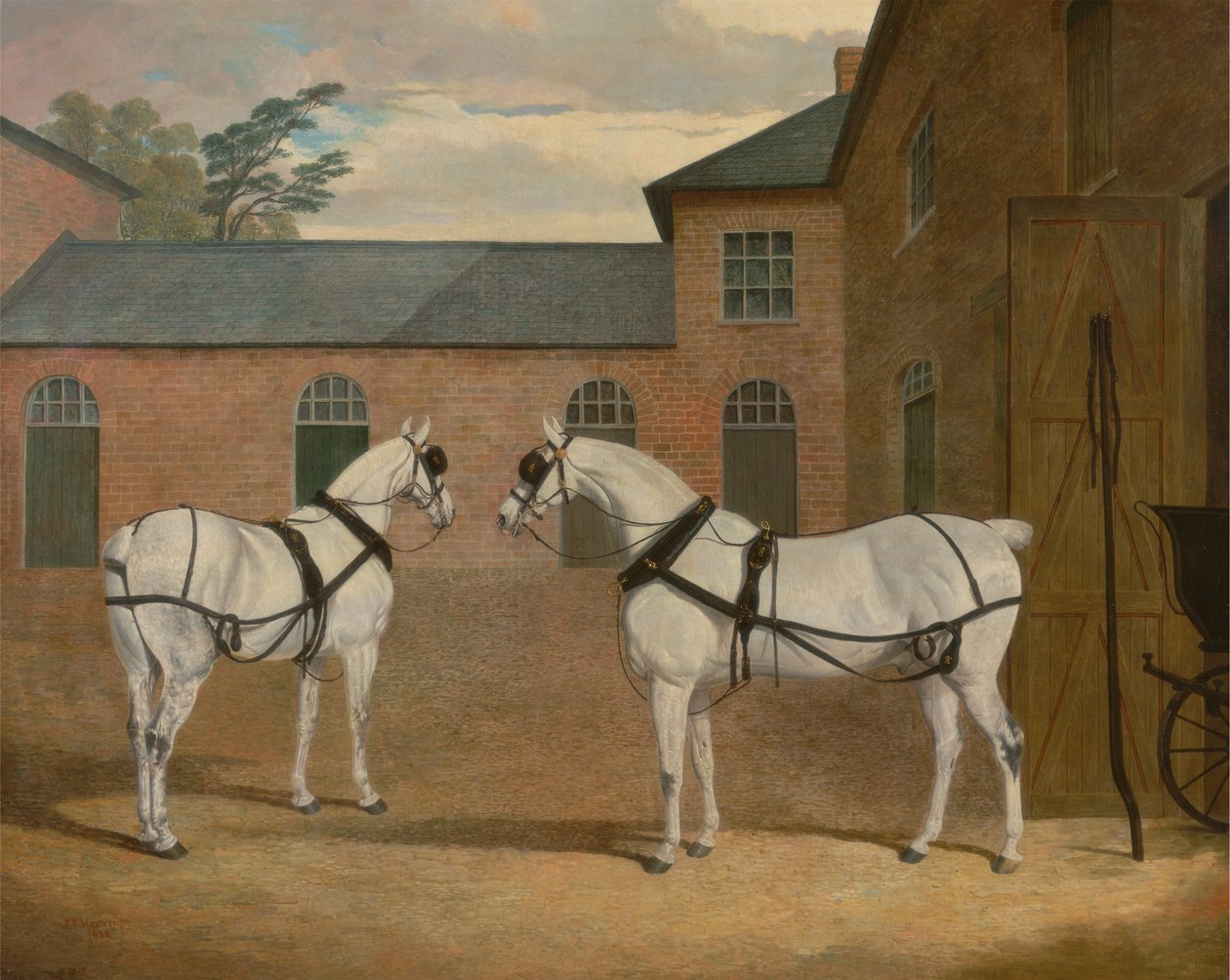 Graue Kutschpferde im Kutschenhof von Putteridge Bury, Hertfordshire von John Frederick Herring