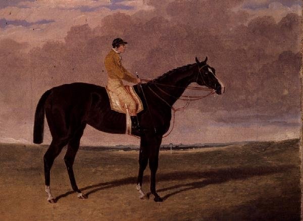 Queen of Trumps, ein braunes Rennpferd mit Jockey von John Frederick Herring Jnr