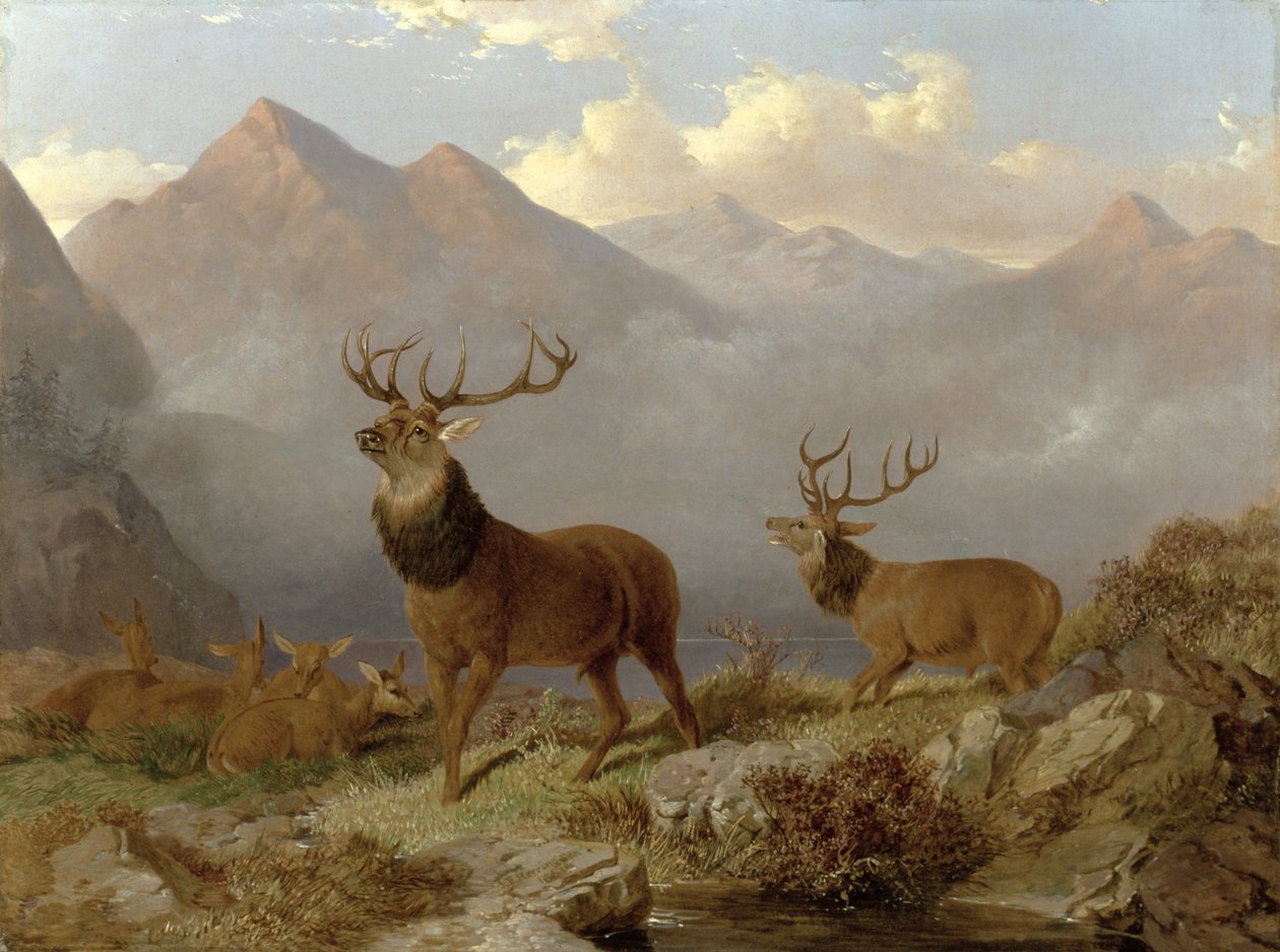 Hirsche und Hirschkühe in einer Hochlandlandschaft, 1864 von John Frederick Herring Junior