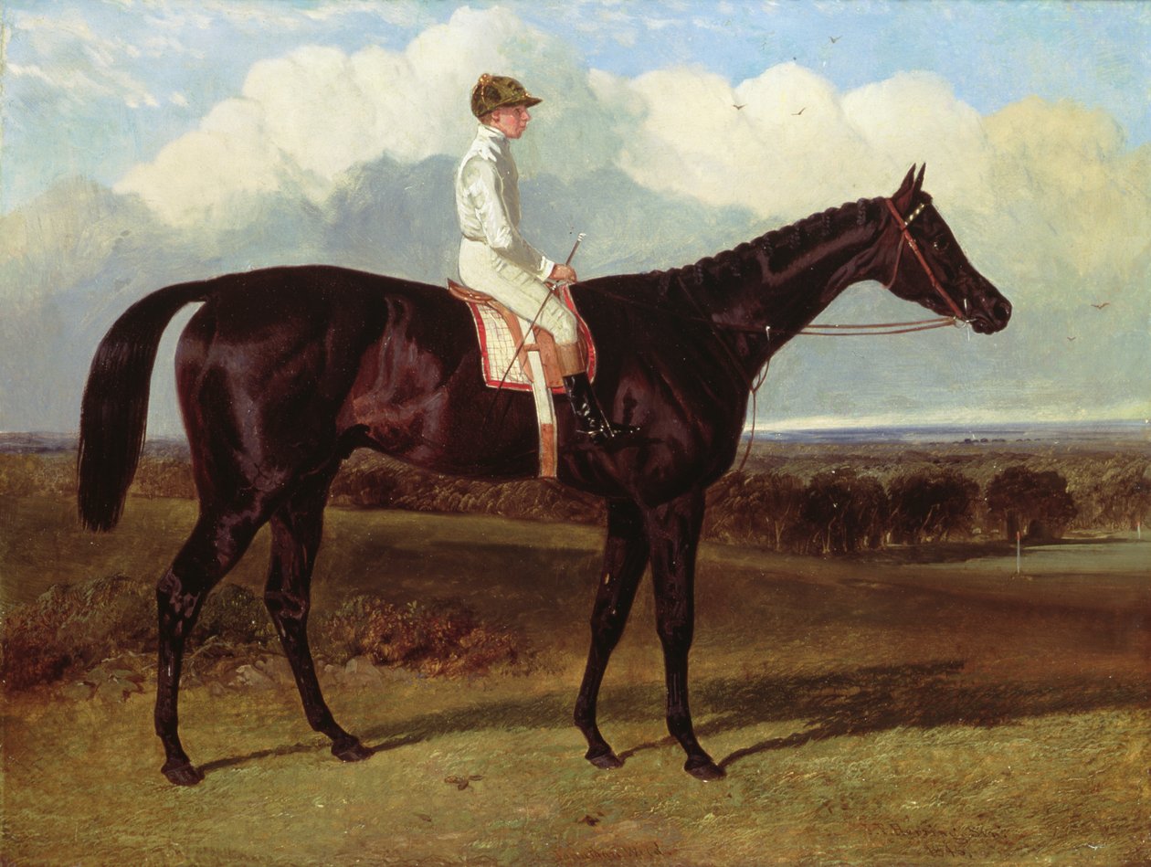 Jonathan Wild, ein dunkelbraunes Rennpferd, in Goodwood, T. Ryder auf, 1846 von John Frederick Herring Senior