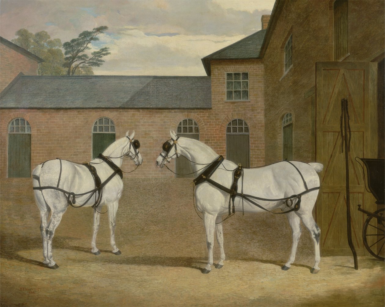 Mr. Sowerbys graue Kutschpferde in seinem Kutschenhof in Putteridge Bury, Hertfordshire, 1836 von John Frederick Herring Senior
