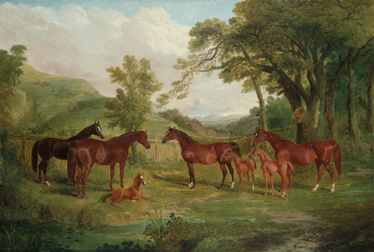 Die Streatlam-Zucht, Stuten und Fohlen, 1836 von John Frederick Herring Senior