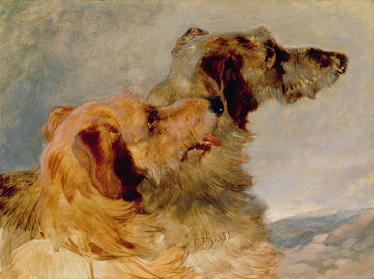Zwei Hirschhunde, 1851 von John Frederick Herring Senior