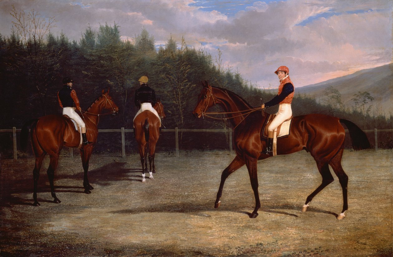 Der Start des Goodwood Gold Cup von John Frederick Herring Senior