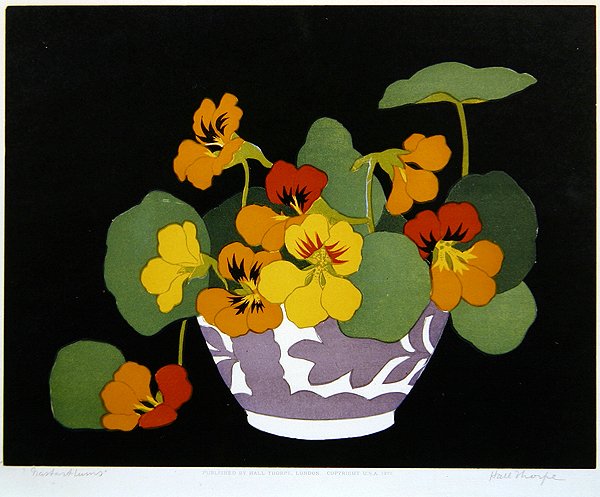 Kapuzinerkresse von John Hall Thorpe