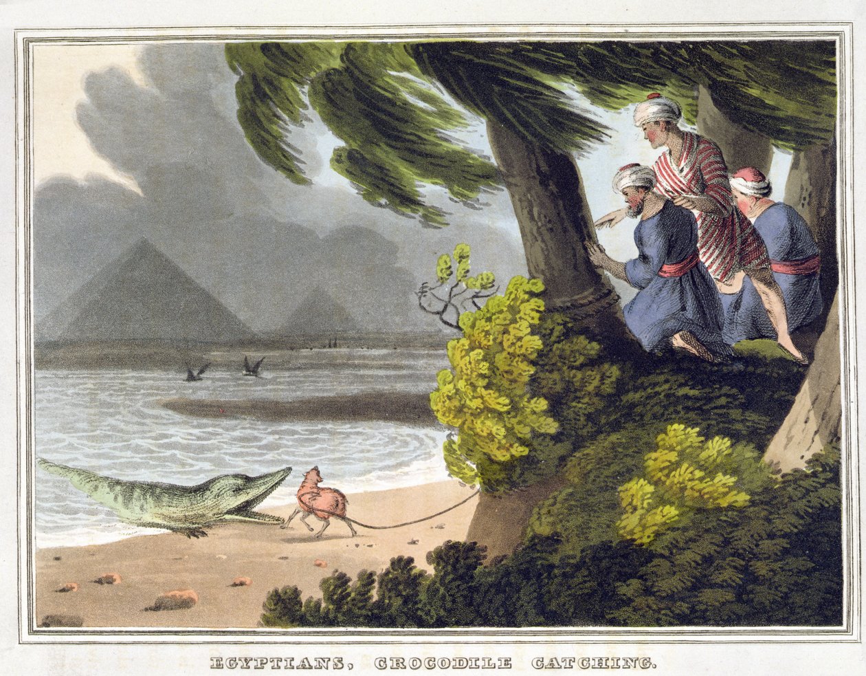 Ägypter fangen Krokodile, graviert von Matthew Dubourg (fl.1785-1820), veröffentlicht von Edward Orme von John Heaviside (after) Clark