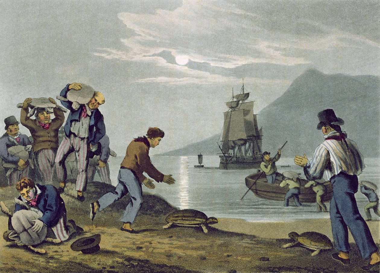 Schildkrötenfang an Land, graviert von Matthew Dubourg, veröffentlicht von Edward Orme, 1813 von John Heaviside Clark