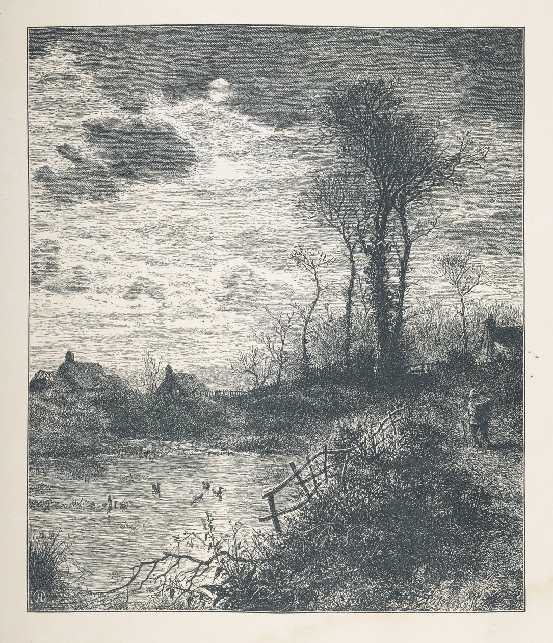 Tafel 23. Ein Teich, aus 
