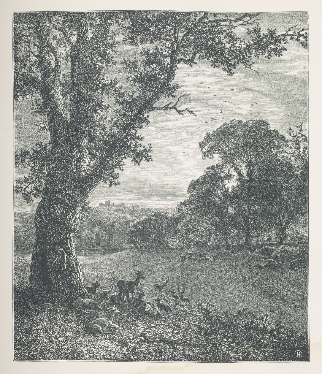 Tafel 3. Hirsche um einen Baum. Naturbilder. Eine Serie von dreißig Originalillustrationen, auf Holz gezeichnet von J. H. Dell und graviert von R. Paterson von John Henry Dell