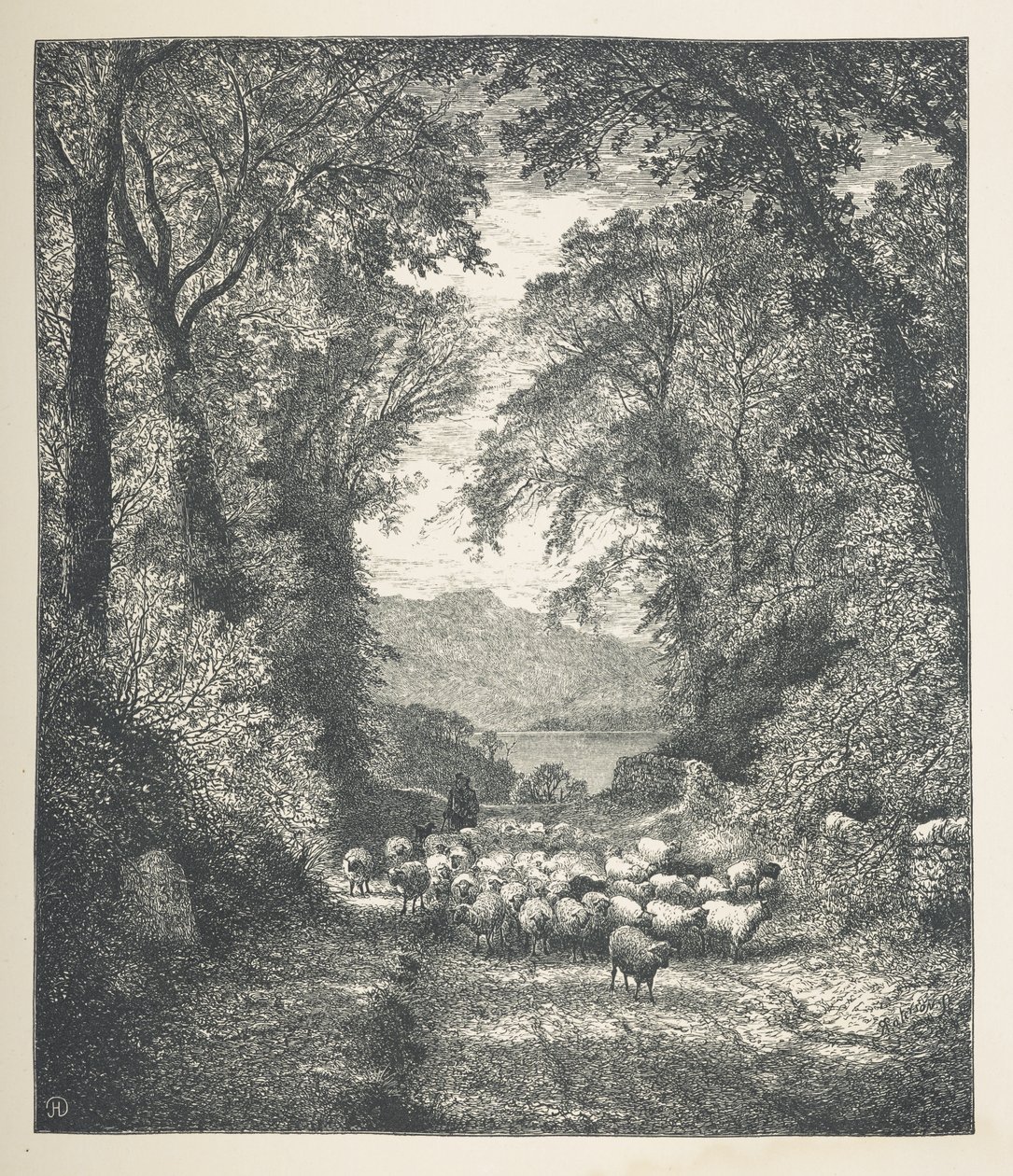 Tafel 4. Schafe, die von einem Schäfer entlang eines Pfades getrieben werden. Naturbilder. Eine Serie von dreißig Originalillustrationen, auf Holz gezeichnet von J. H. Dell und graviert von R. Paterson von John Henry Dell